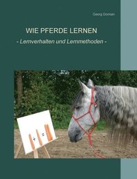 bokomslag Wie Pferde lernen