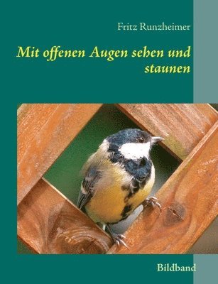 bokomslag Mit offenen Augen sehen und staunen