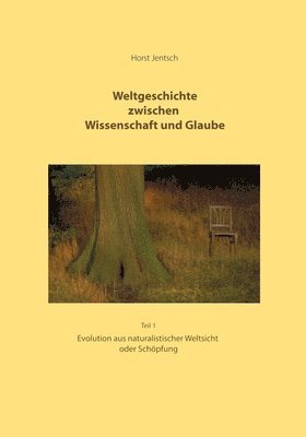 bokomslag Weltgeschichte zwischen Wissenschaft und Glaube