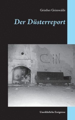 bokomslag Der Dsterreport