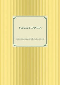 bokomslag Mathematik ZAP MSA