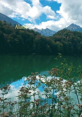 Bernd Schubert - Alatsee, Häftad