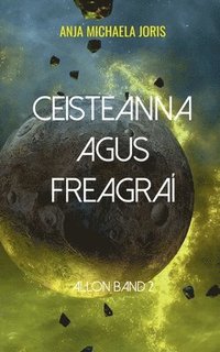 bokomslag Ceisteanna agus freagra