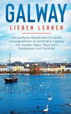 bokomslag Galway lieben lernen