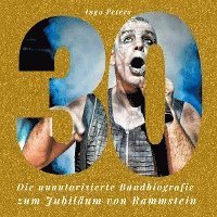 bokomslag 30 Jahre Rammstein