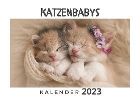 bokomslag Katzenbabys