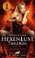 bokomslag Die HexenLust Trilogie | Band 1 | Erotischer Fantasy Roman