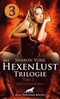 bokomslag Die HexenLust Trilogie | Band 3 | Erotischer Fantasy Roman