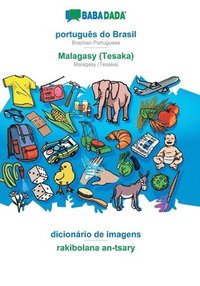 bokomslag BABADADA, portugues do Brasil - Malagasy (Tesaka), dicionario de imagens - rakibolana an-tsary