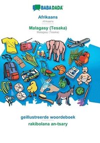 bokomslag Afrikaans - Malagasy (Tesaka), geillustreerde woordeboek
