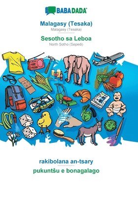 bokomslag Malagasy (Tesaka) - Sesotho sa Leboa, rakibolana an-tsary