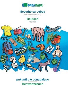 bokomslag BABADADA, Sesotho sa Leboa - Deutsch, pukuntsu e bonagalago - Bildwoerterbuch