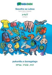 bokomslag BABADADA, Sesotho sa Leboa - Amharic (in Ge?ez script), pukuntsu e bonagalago - visual dictionary (in Ge?ez script)