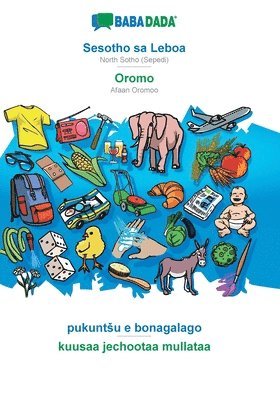 bokomslag Sesotho sa Leboa - Oromo, pukuntsu e bonagalago