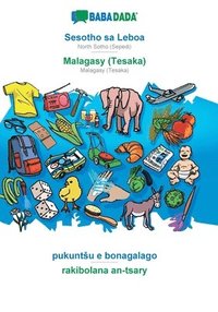 bokomslag BABADADA, Sesotho sa Leboa - Malagasy (Tesaka), pukuntsu e bonagalago - rakibolana an-tsary