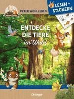 bokomslag Lesen + Stickern. Entdecke die Tiere im Wald