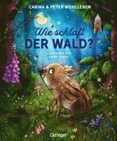 bokomslag Wie schläft der Wald?