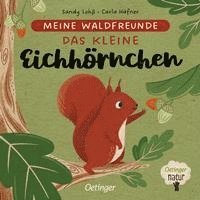 bokomslag Meine Waldfreunde. Das kleine Eichhörnchen