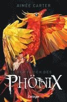 bokomslag Der Fluch des Phönix