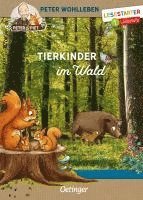 bokomslag Tierkinder im Wald