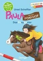 bokomslag Paula auf dem Ponyhof. Das Ponyturnier