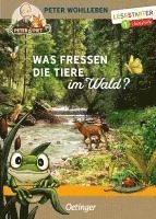 bokomslag Was fressen die Tiere im Wald?