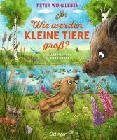 bokomslag Wie werden kleine Tiere groß?