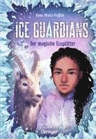 bokomslag Ice Guardians 2. Der magische Eissplitter