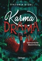 bokomslag Karma Drama 2. Dämonische Bestimmung