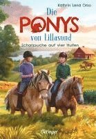bokomslag Die Ponys von Lillasund 2. Schatzsuche auf vier Hufen