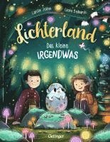 bokomslag Lichterland. Das kleine Irgendwas