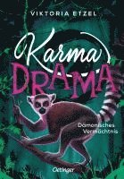 Viktoria Etzel - Karma Drama 3. Dämonisches Vermächtnis, Inbunden