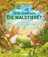 bokomslag Wie wohnen die Waldtiere?