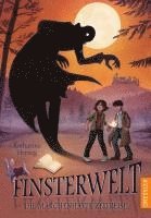 bokomslag Finsterwelt 3. Die märchenhafte Zeitreise