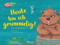 bokomslag Heute bin ich grummelig! / Heute bin ich fröhlich!