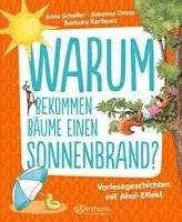 Warum bekommen Bäume einen Sonnenbrand? 1