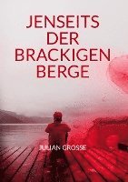 bokomslag Jenseits der Brackigen Berge