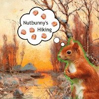 bokomslag Nutbunny's Hiking