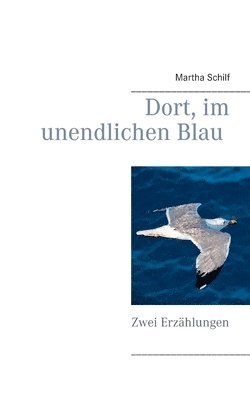 Martha Schilf - Dort, im unendlichen Blau, Häftad