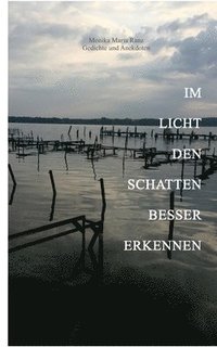 bokomslag Im Licht den Schatten besser erkennen