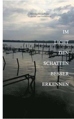 bokomslag Im Licht den Schatten besser erkennen