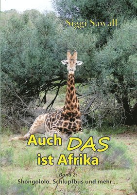 bokomslag Auch das ist Afrika - Band 2