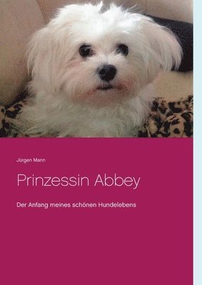 Prinzessin Abbey 1