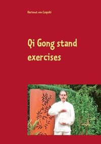bokomslag Qi Gong stand exercises