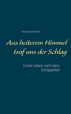 bokomslag Aus heiterem Himmel traf uns der Schlag