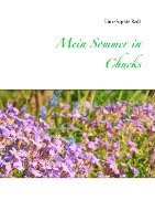 bokomslag Mein Sommer in Chucks