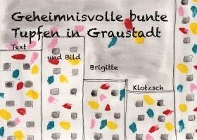 bokomslag Geheimnisvolle bunte Tupfen in Graustadt