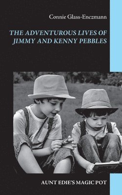 bokomslag The Adventurous Lives of Jimmy and Kenny Pebbles