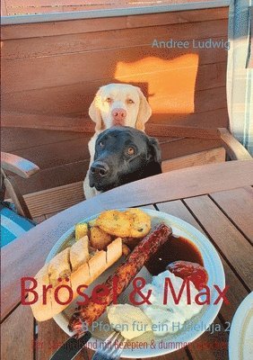 bokomslag Brsel & Max