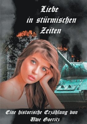 bokomslag Liebe in strmischen Zeiten